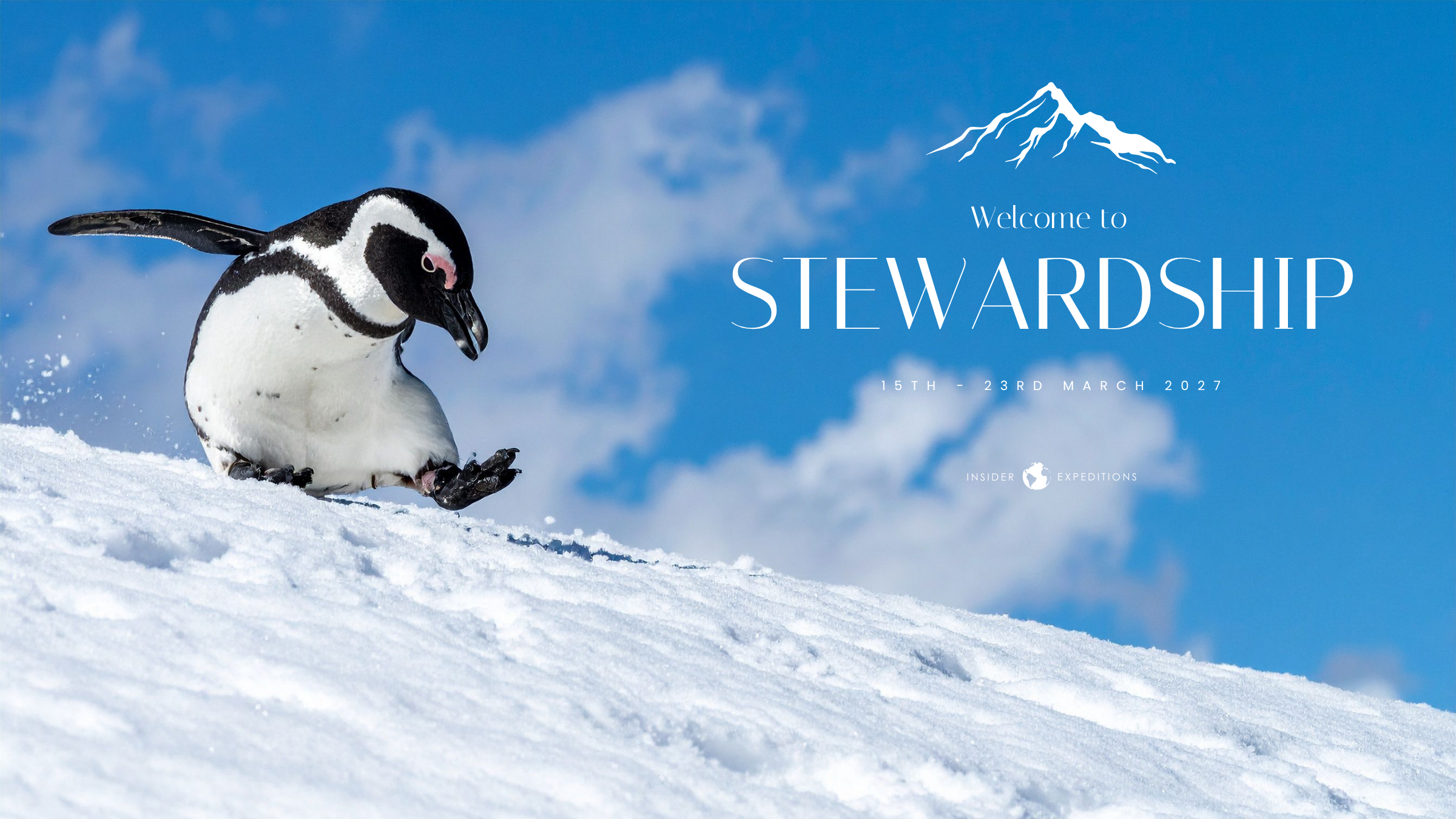 Stewardship Antarctica 2027